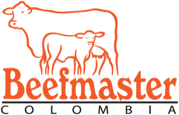 Beefmaster Colombia